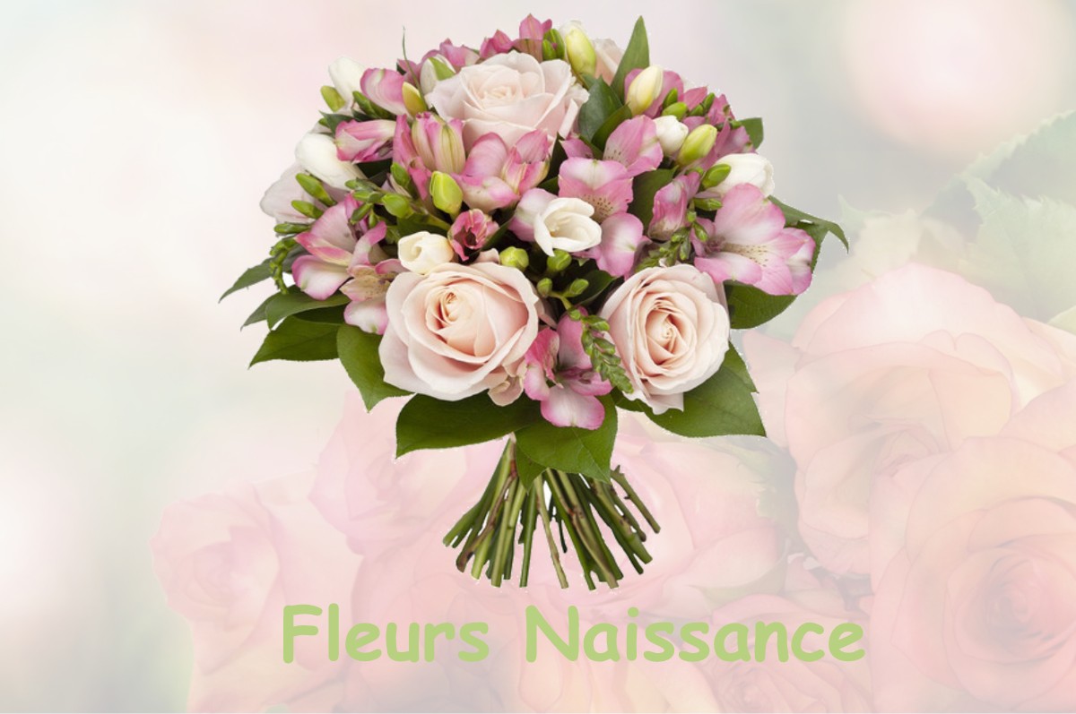 fleurs naissance LE-PUY-SAINTE-REPARADE