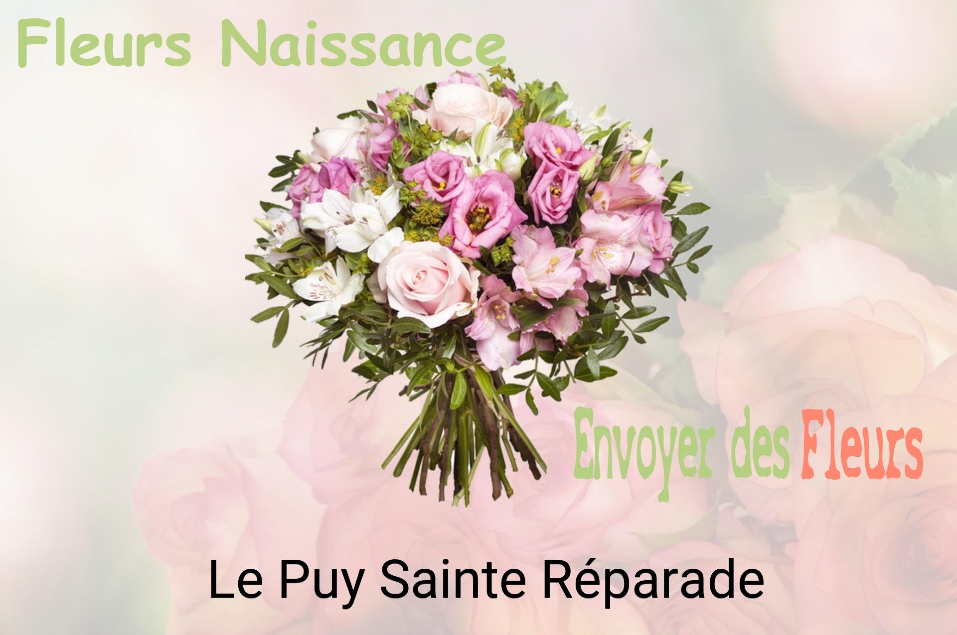 Bouquet de fleurs de naissance livré à Le Puy-Sainte-Réparade