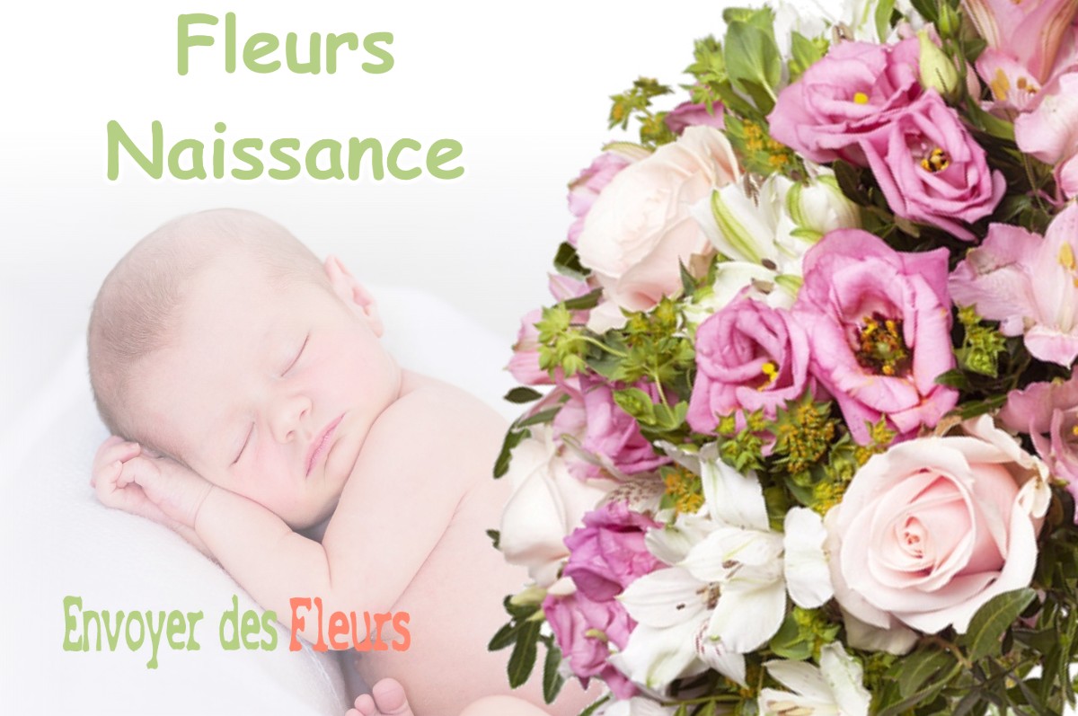 lIVRAISON FLEURS NAISSANCE à LE-PUY-SAINTE-REPARADE